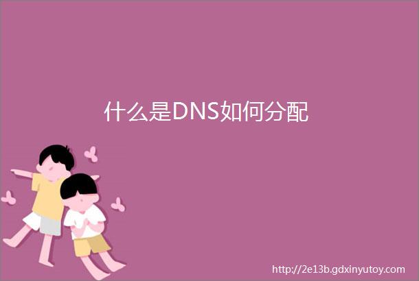 什么是DNS如何分配