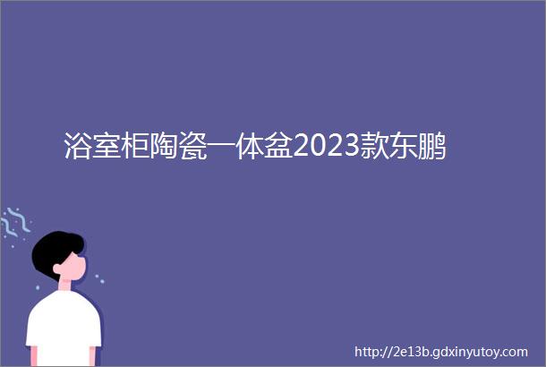 浴室柜陶瓷一体盆2023款东鹏